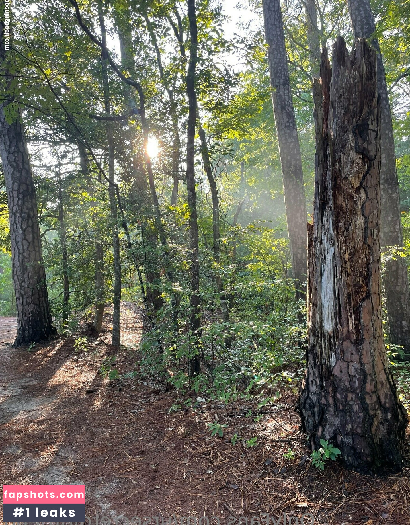 ursecretgirlfriend gallery photo #225