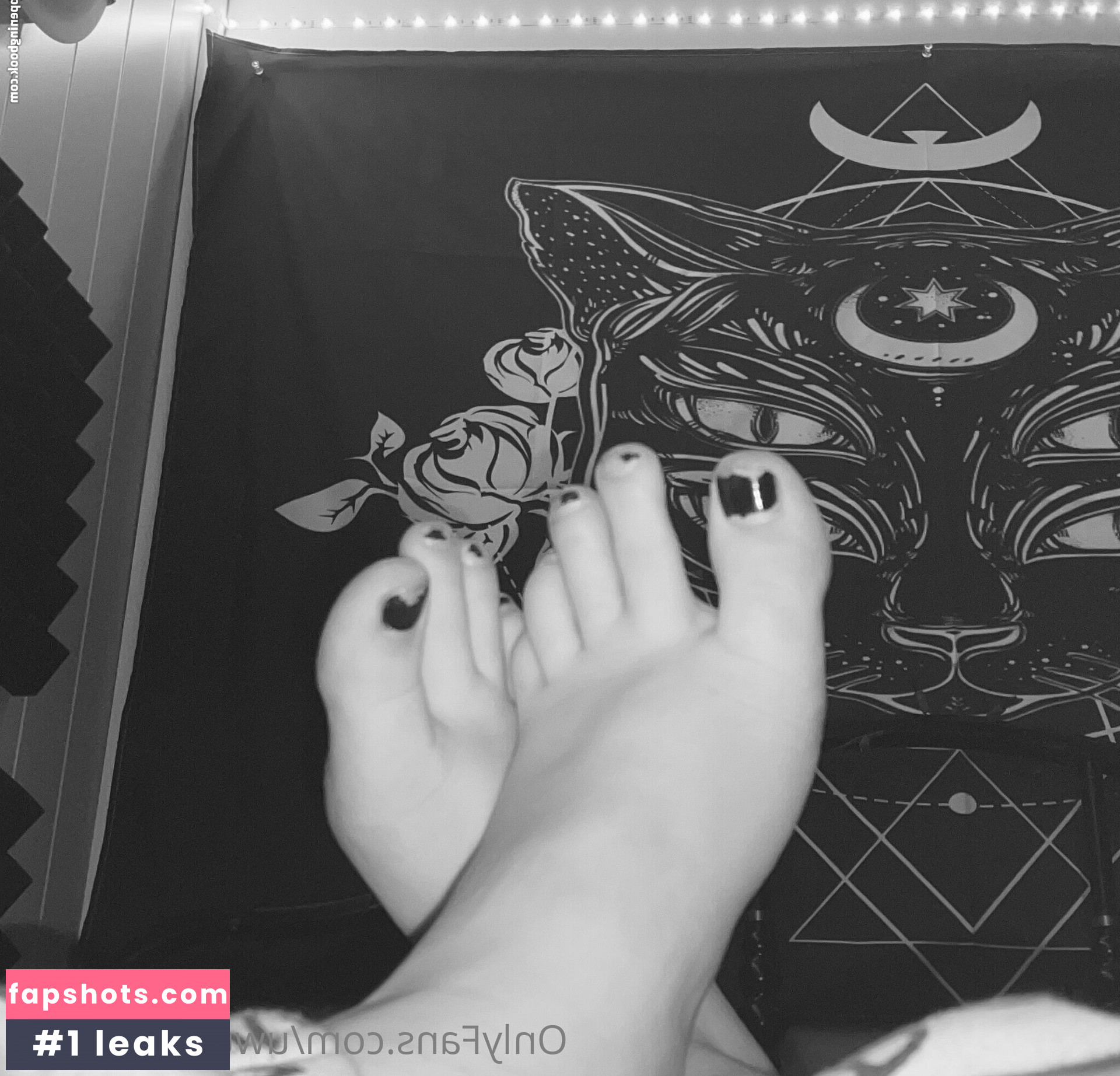 Uwucaptain666 gallery photo #42