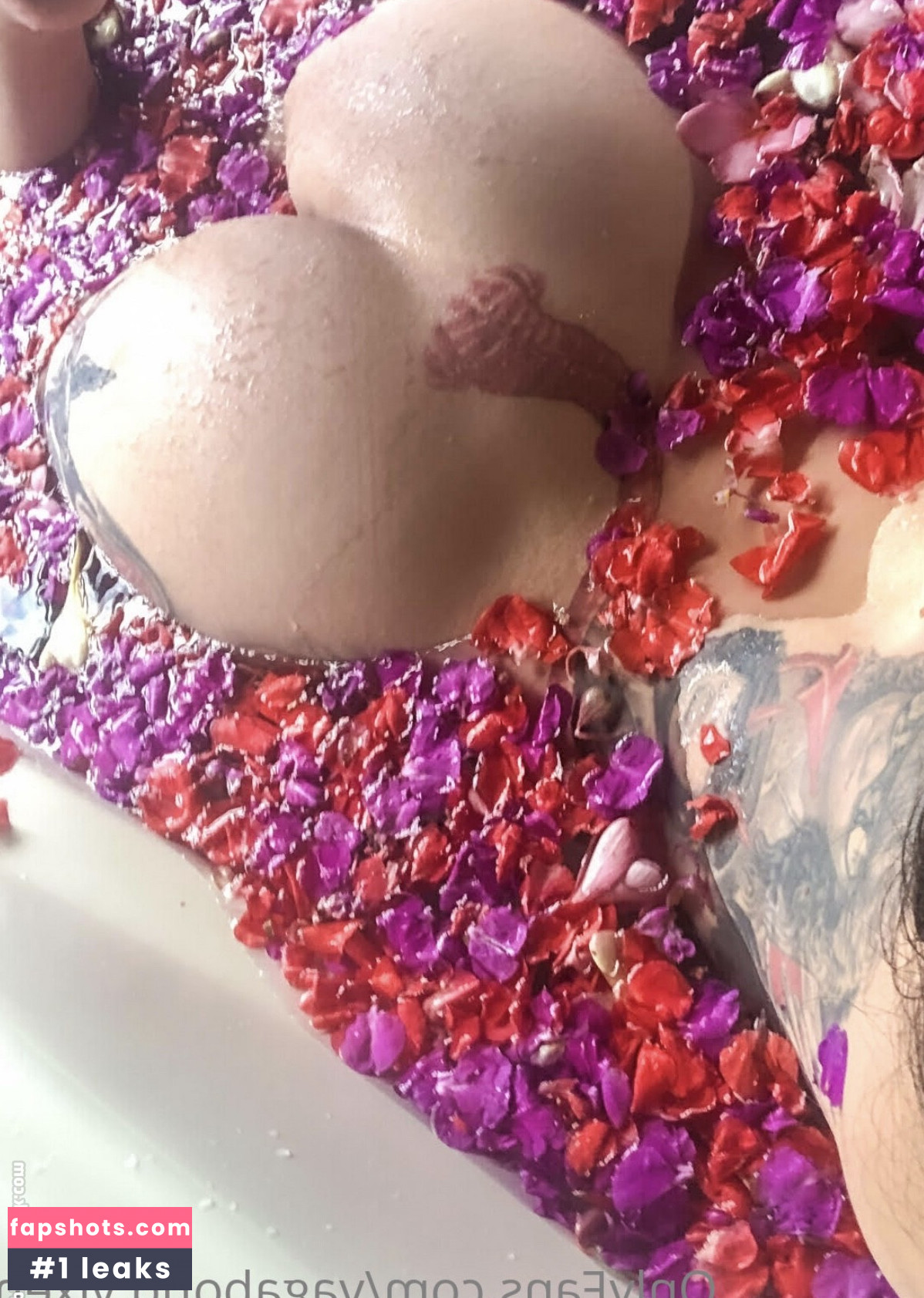 Vagabond Vixen gallery photo #7