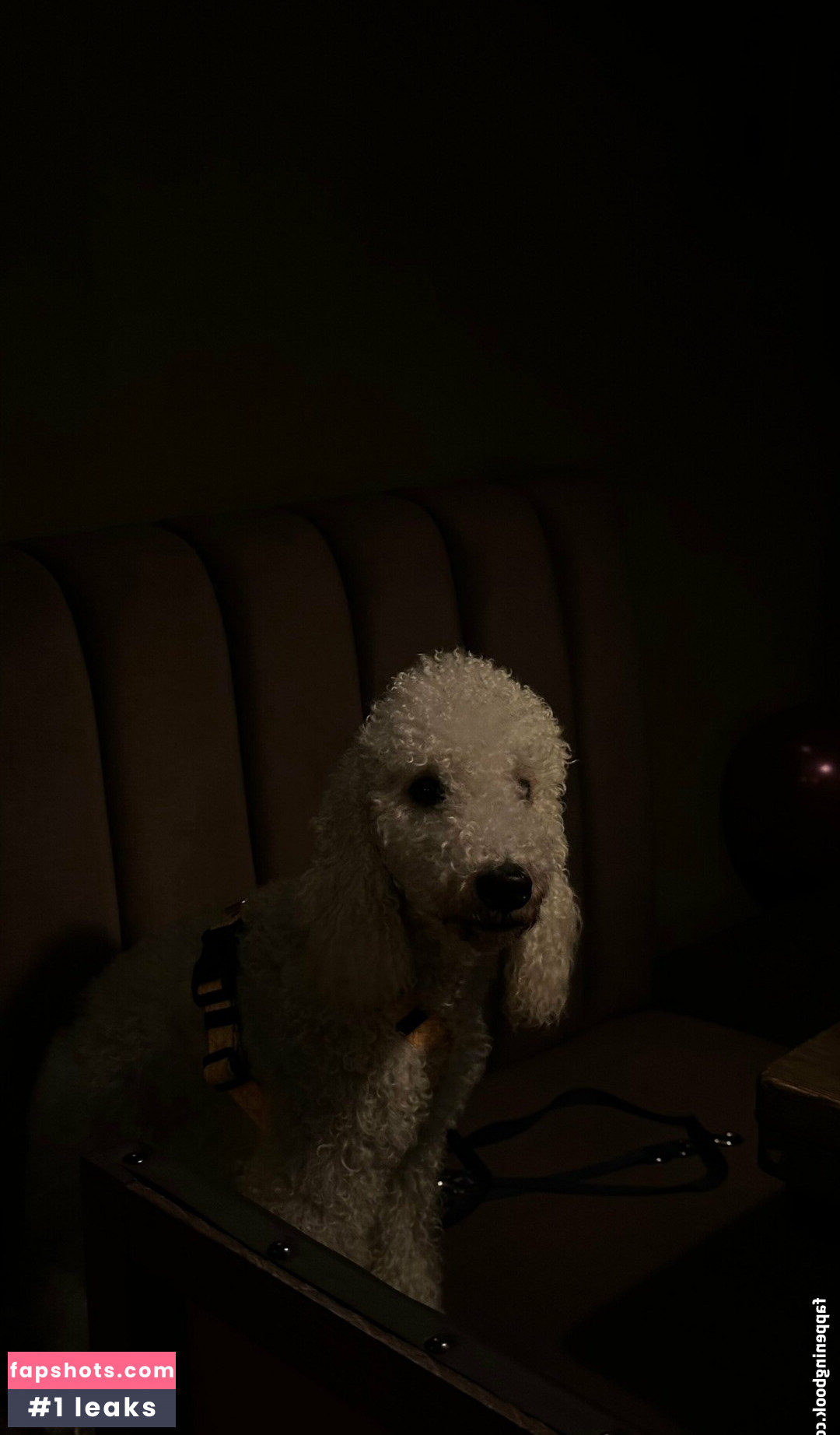 Valeriyaa gallery photo #21