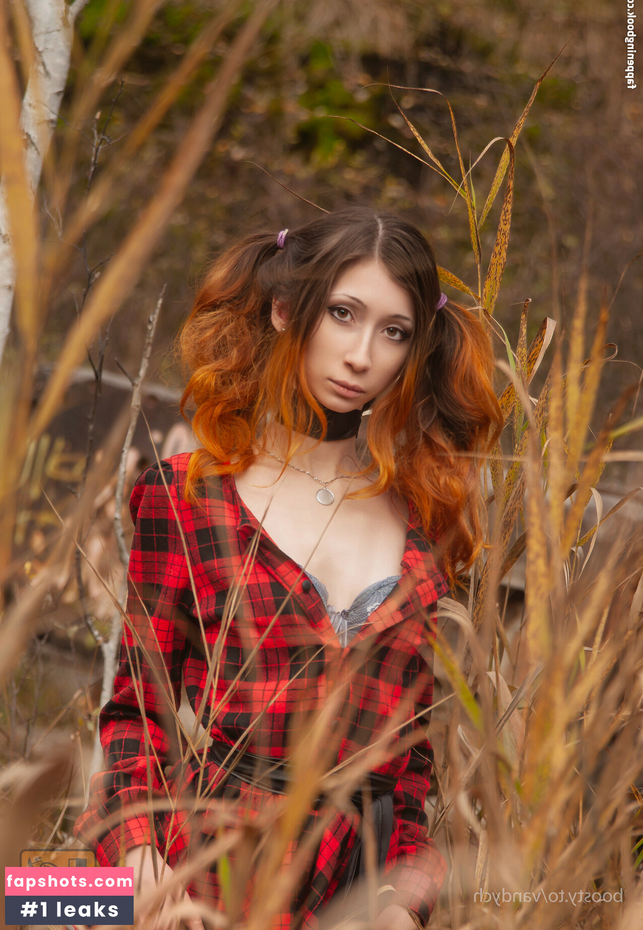 Vandych gallery photo #14