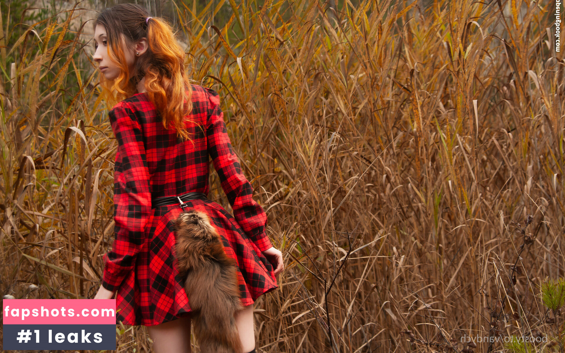 Vandych gallery photo #17