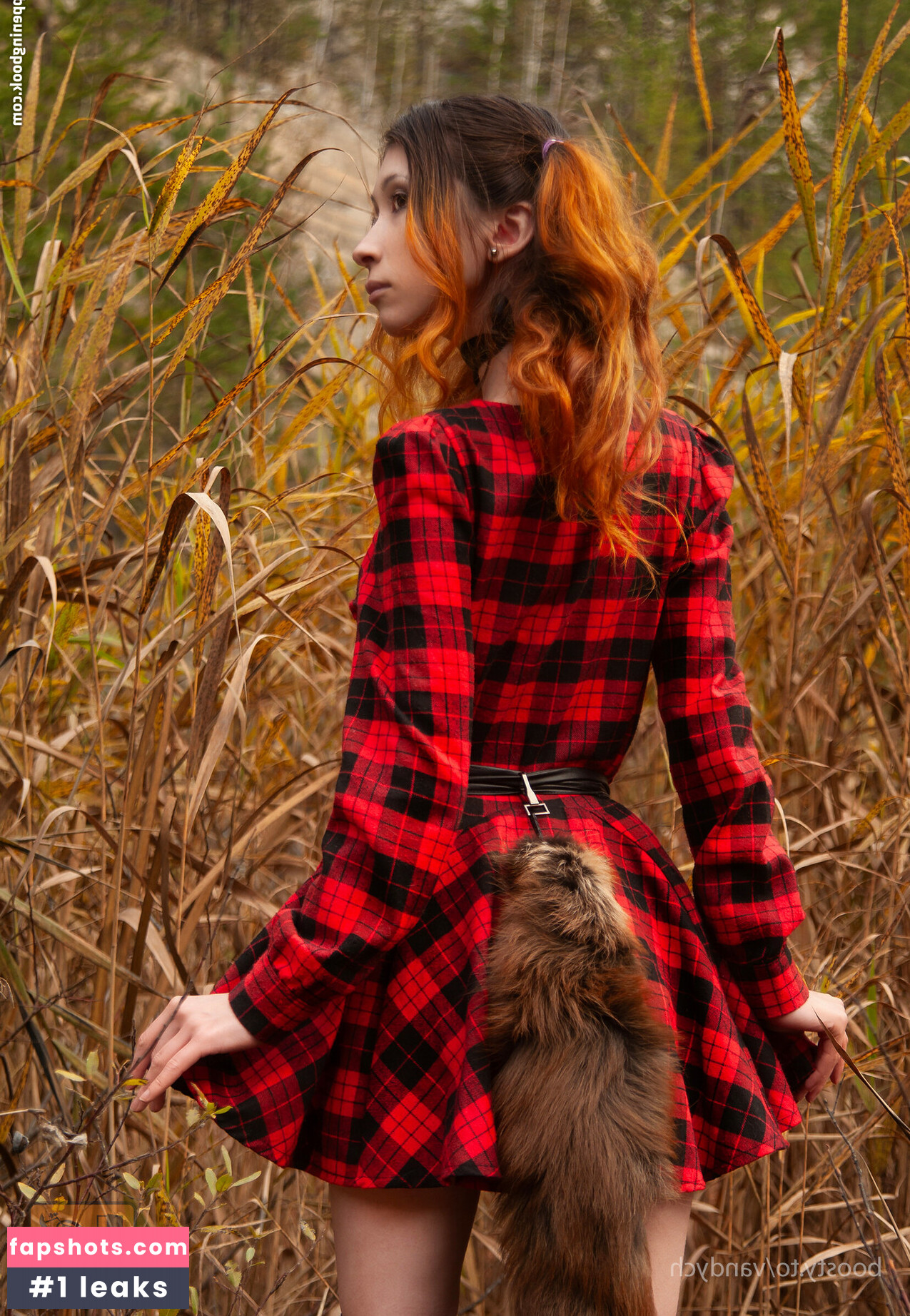 Vandych gallery photo #20