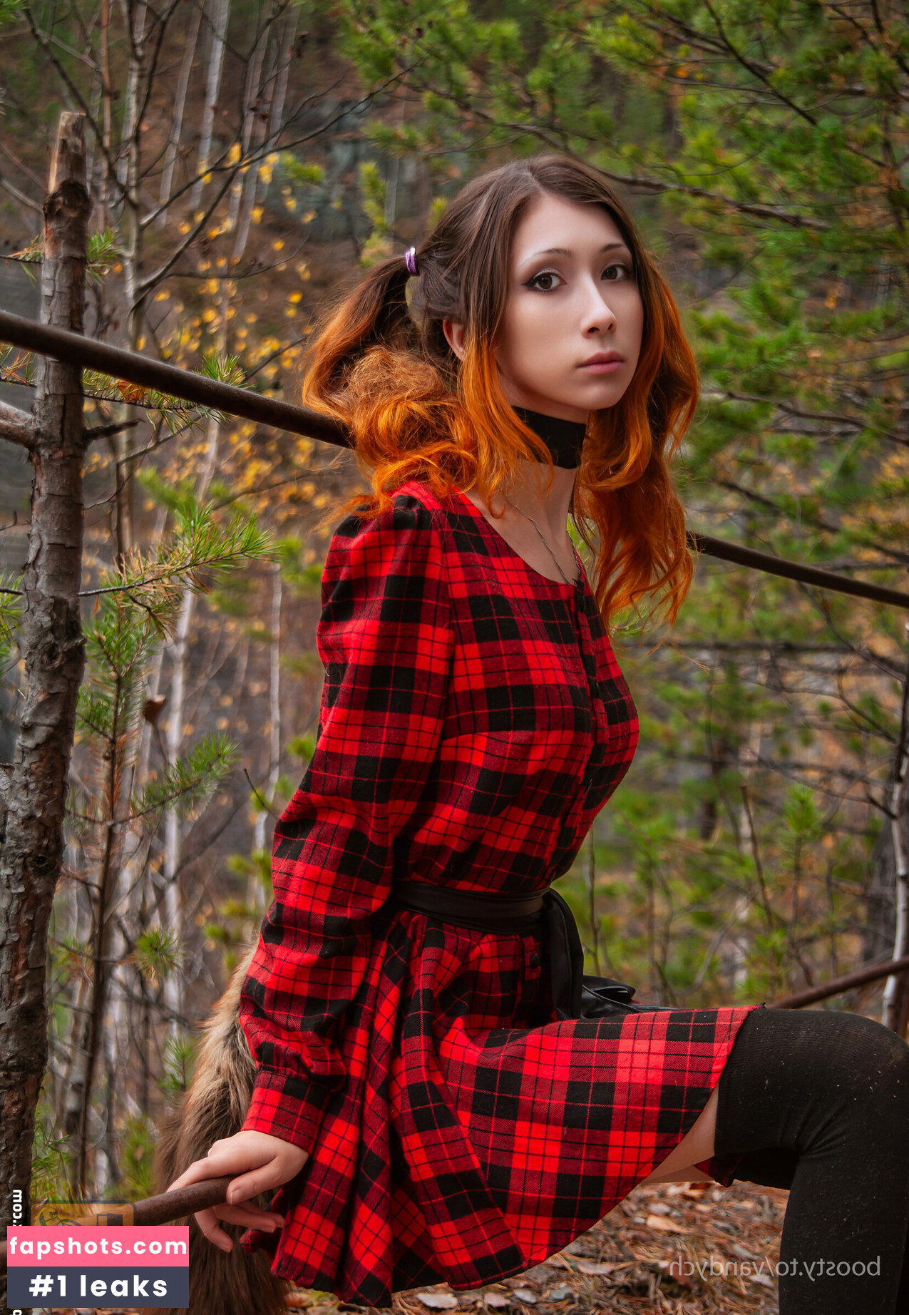 Vandych gallery photo #3