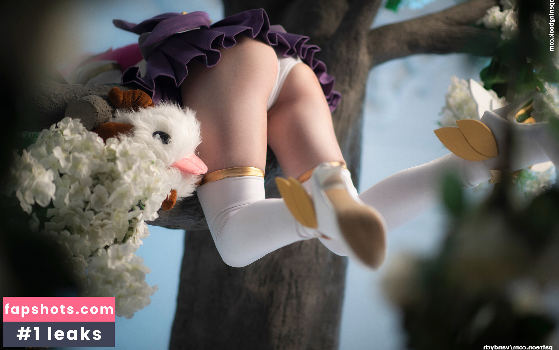 Vandych gallery photo #268