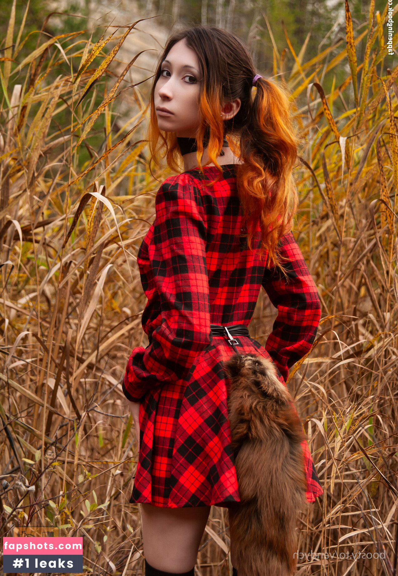 Vandych gallery photo #4