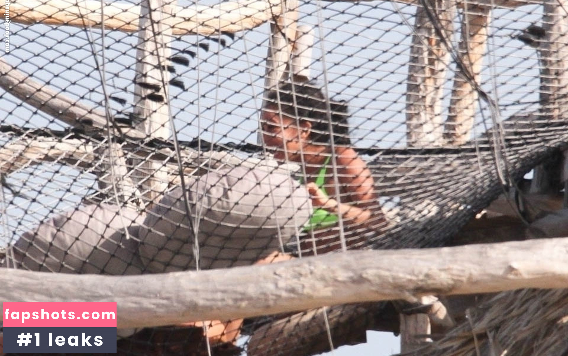 Vanessa Morgan gallery photo #306