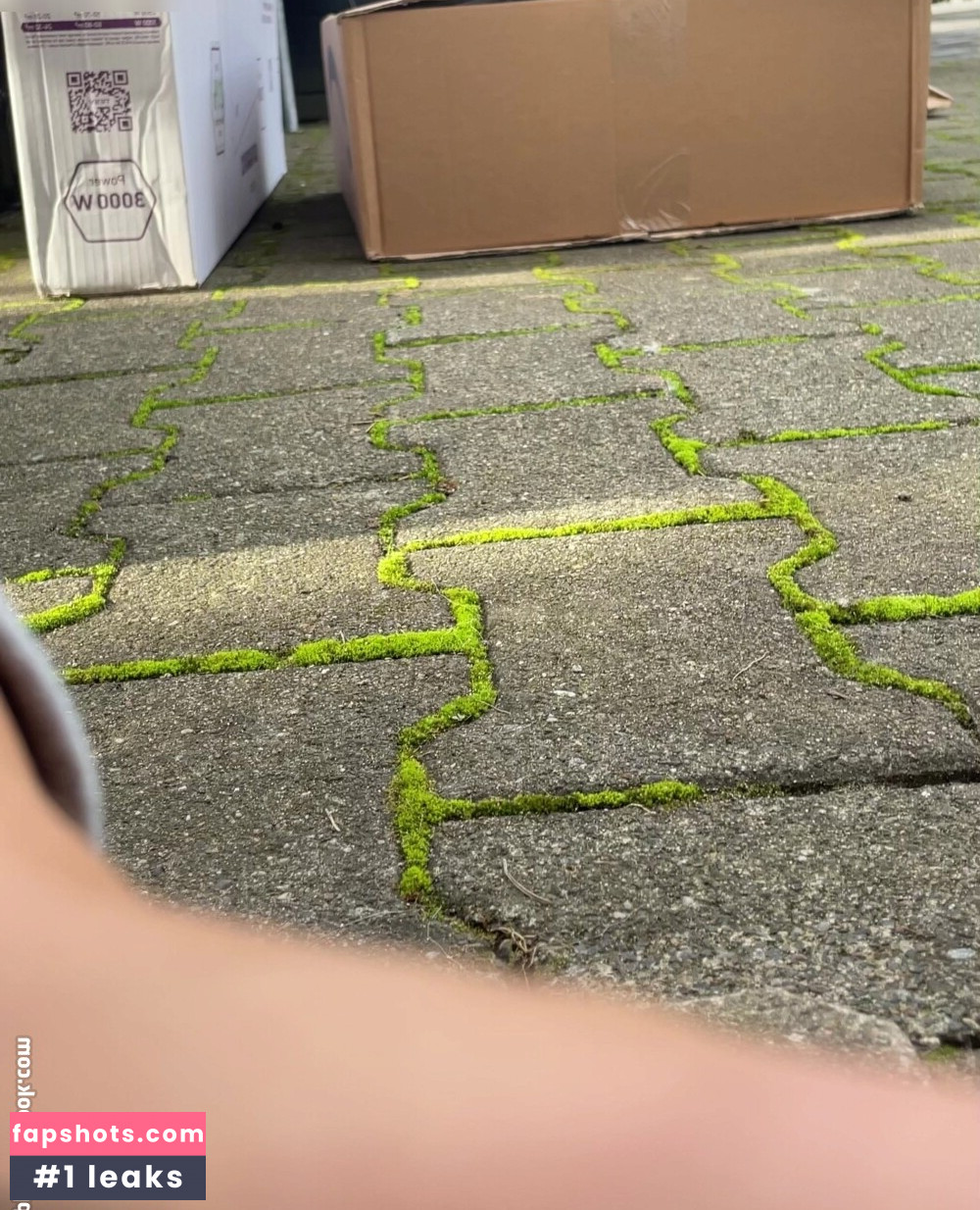 vannmeyr Nude Leaks OnlyFans Photos #39 - LeakJerk