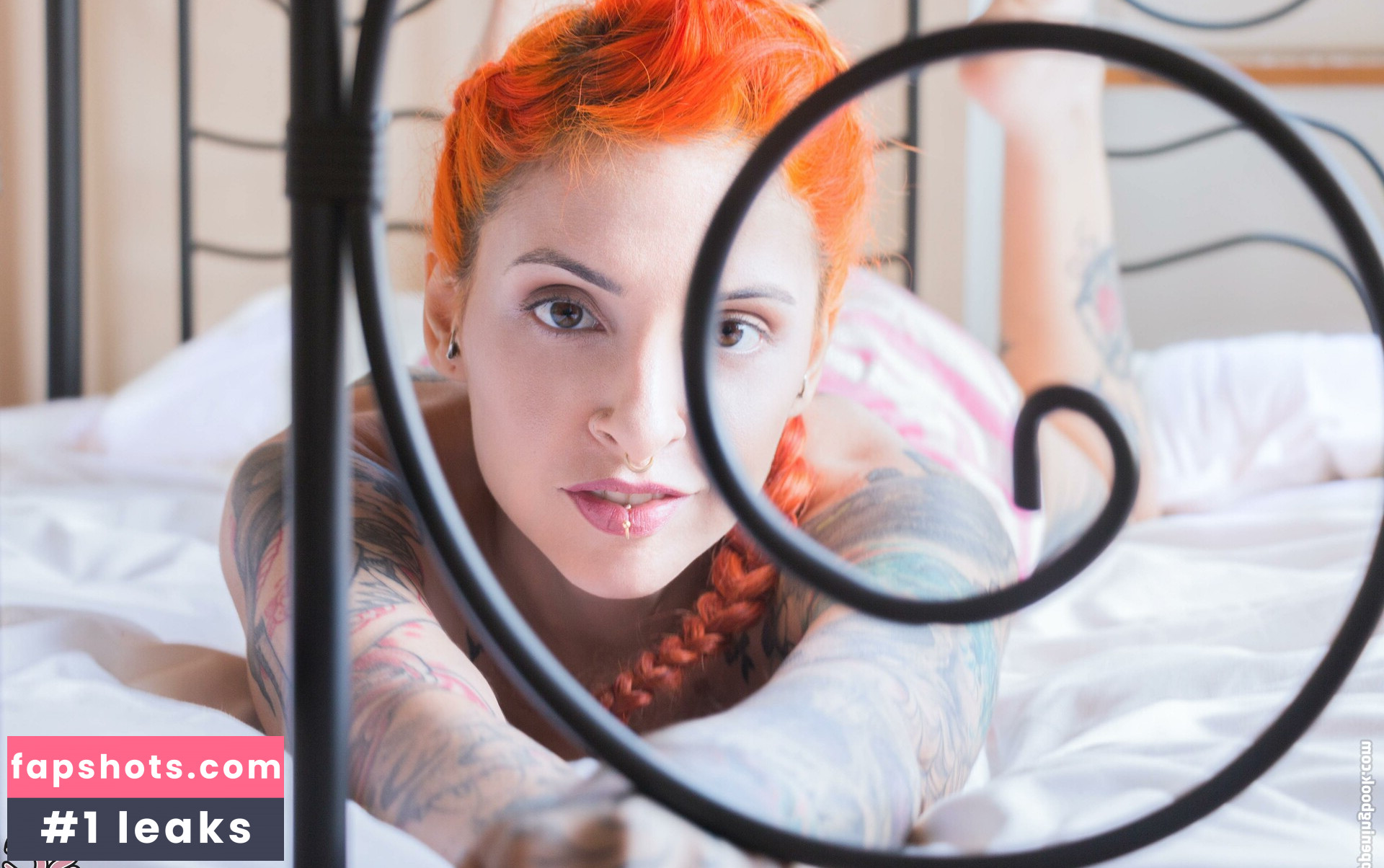 Vanp gallery photo #33