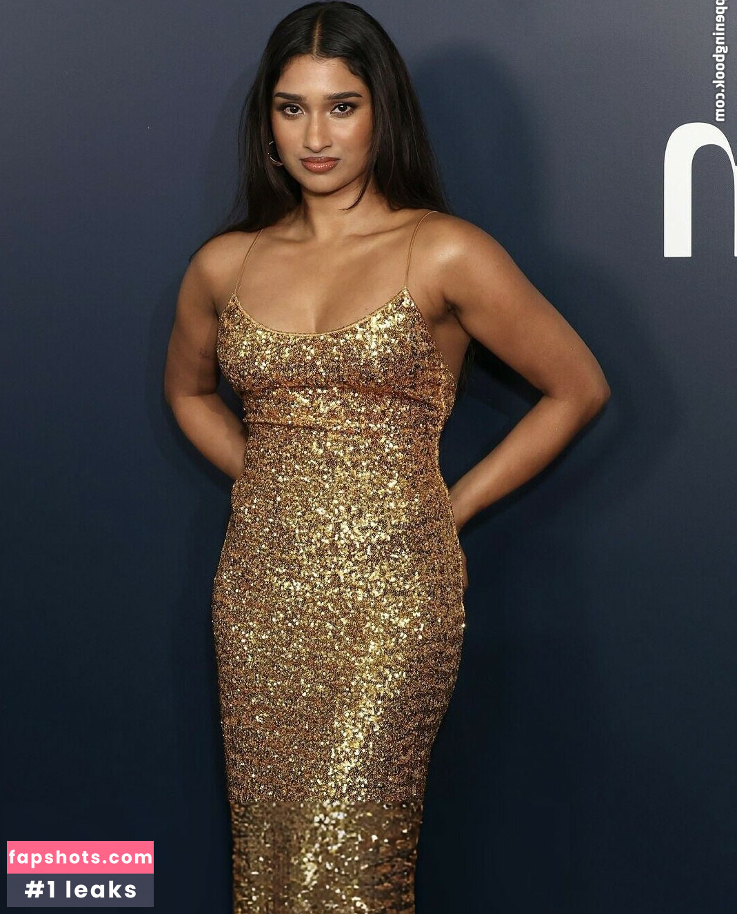 Varada Sethu gallery photo #14