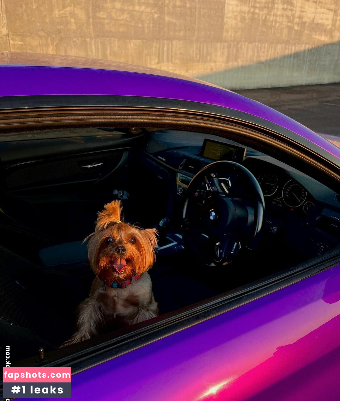 Varvara Parukova Nude Leaks OnlyFans Photos #9 - LeakJerk