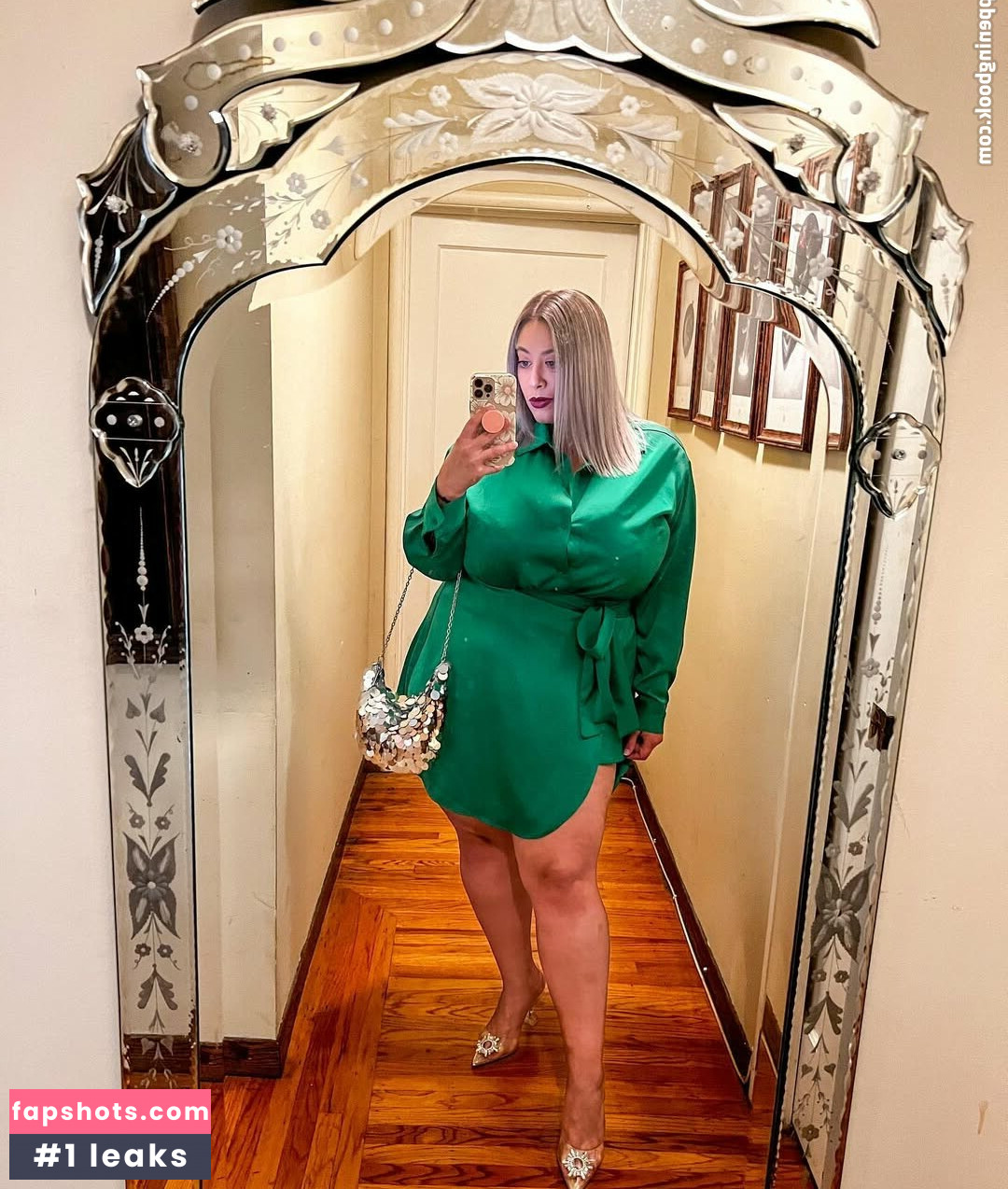 vasiventures gallery photo #2