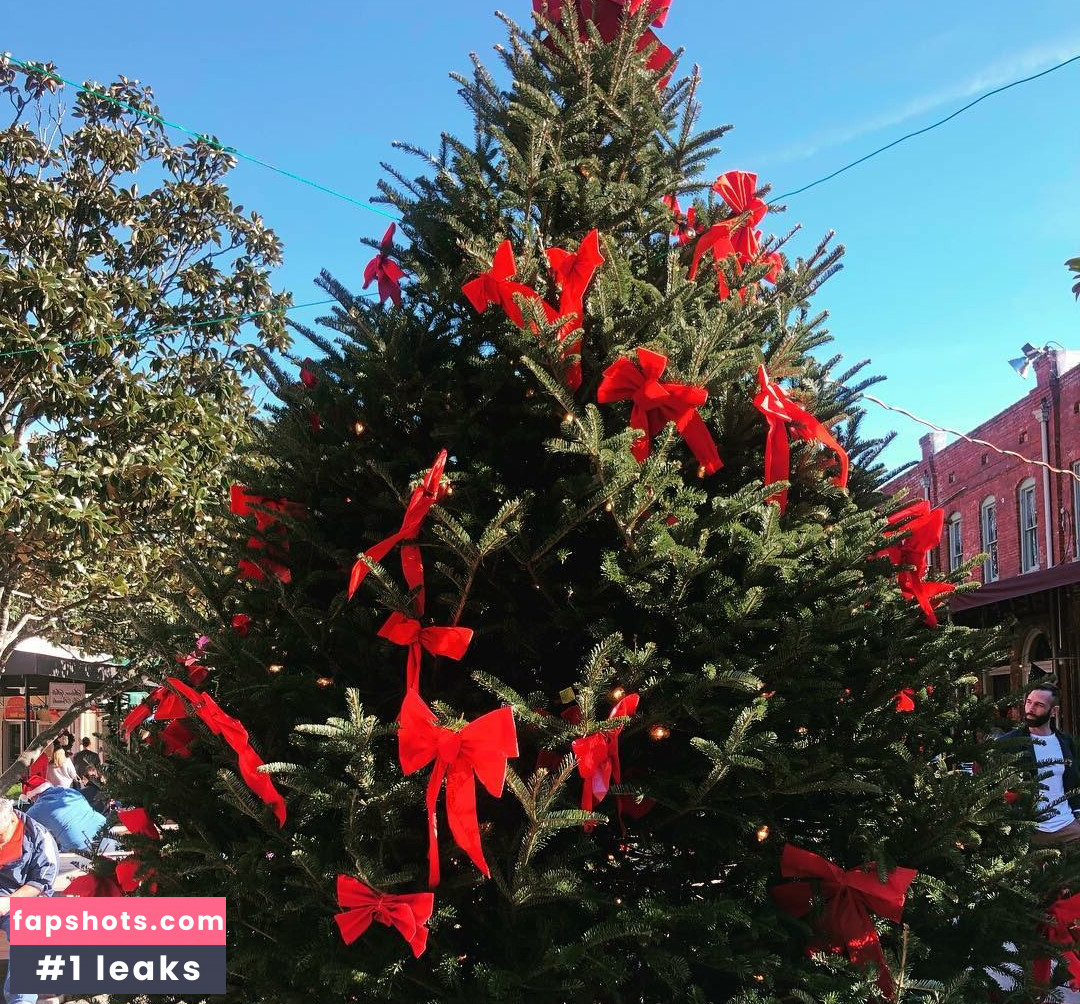 vasiventures gallery photo #16