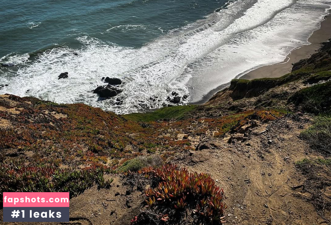 vasiventures gallery photo #4