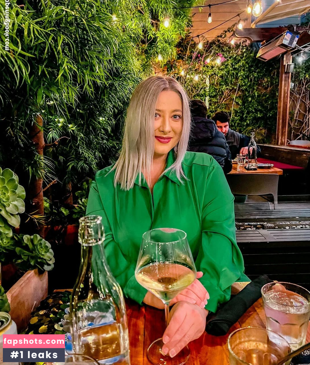 vasiventures gallery photo #10