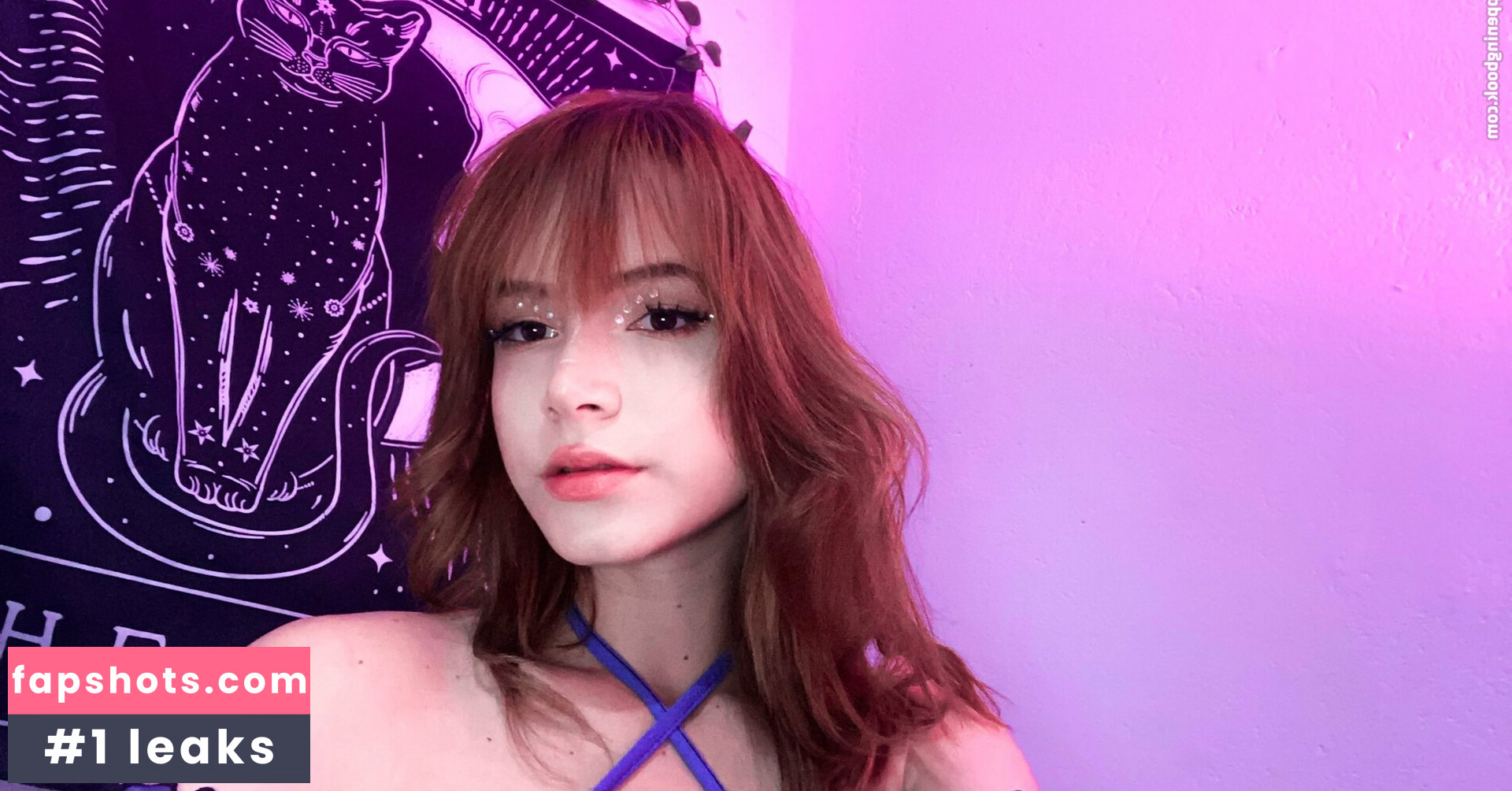 Veevtr gallery photo #6