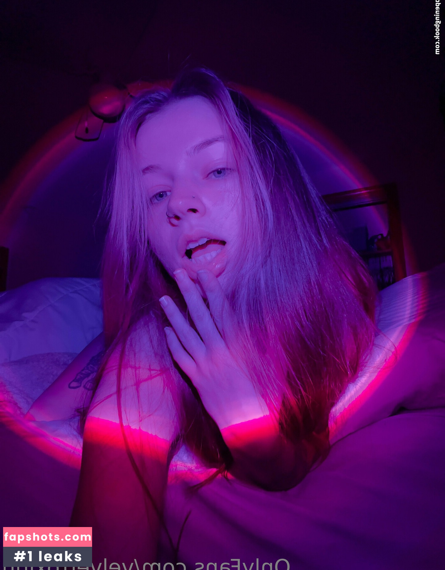 velvettoxinn gallery photo #13