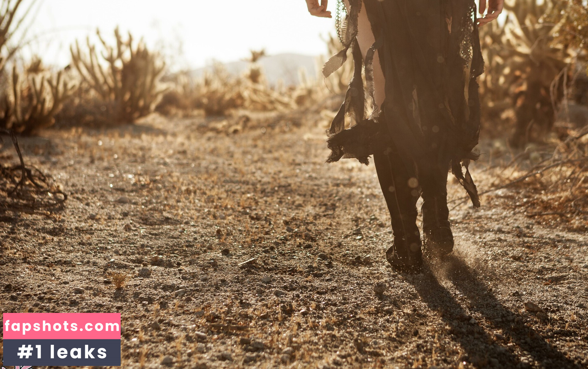 Venom SG gallery photo #17