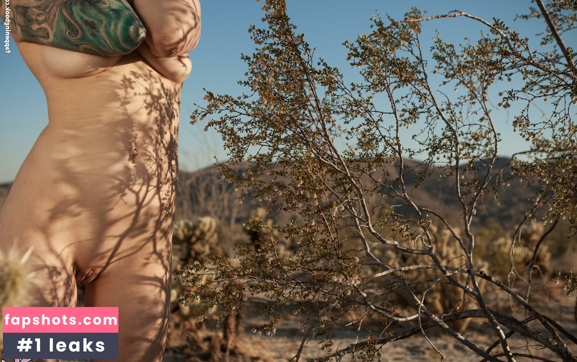 Venom SG gallery photo #3