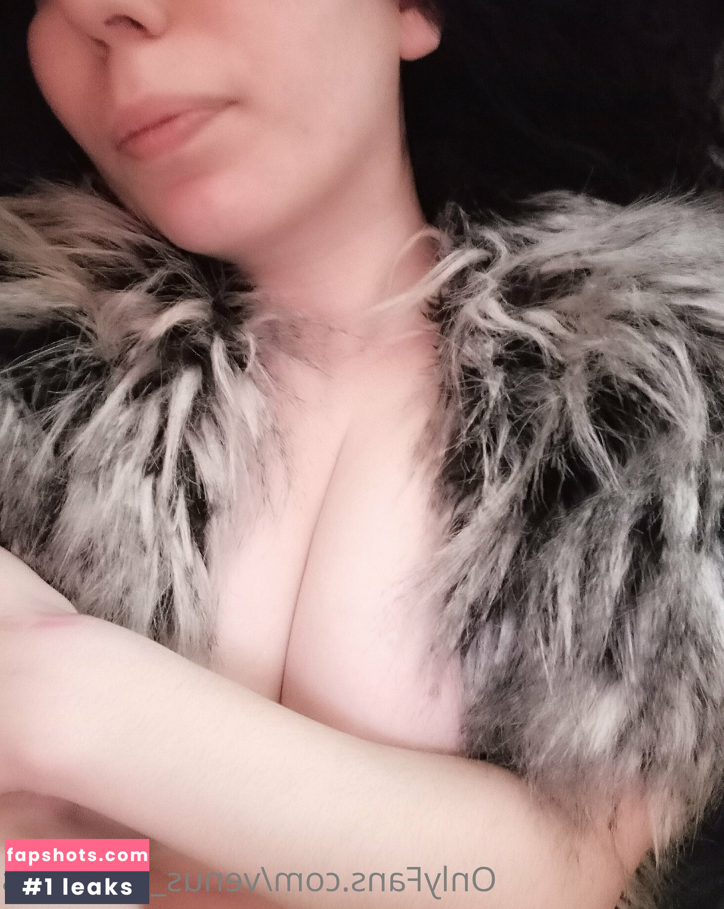 venus_in_woods gallery photo #8