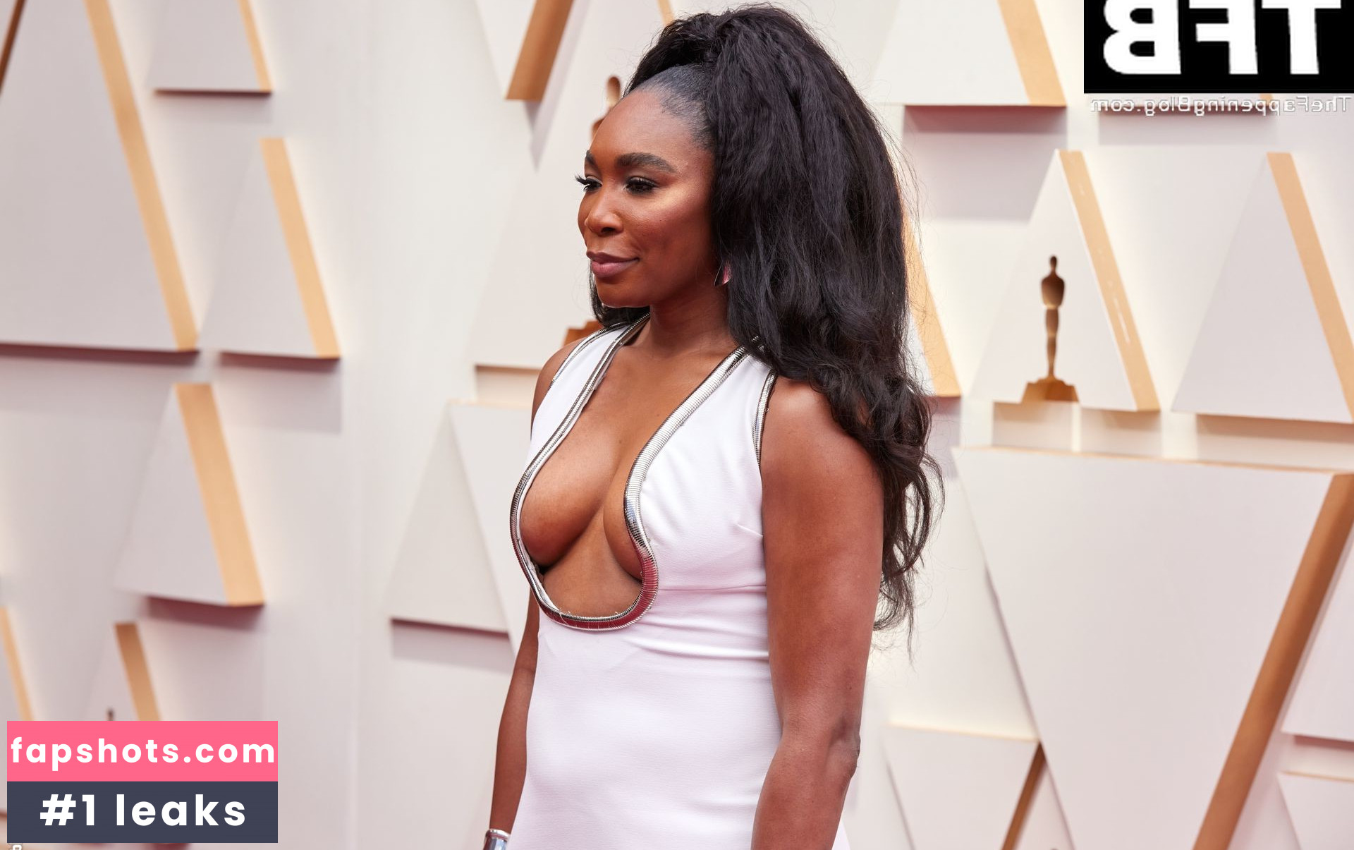 Venus Williams gallery photo #15