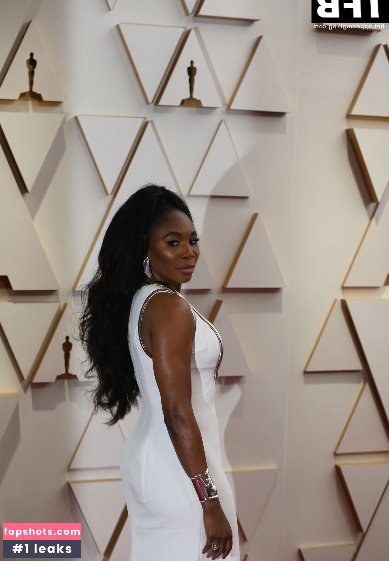 Venus Williams gallery photo #22