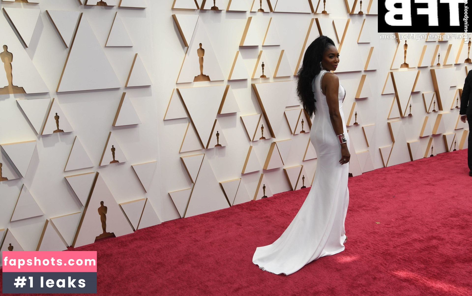 Venus Williams gallery photo #23