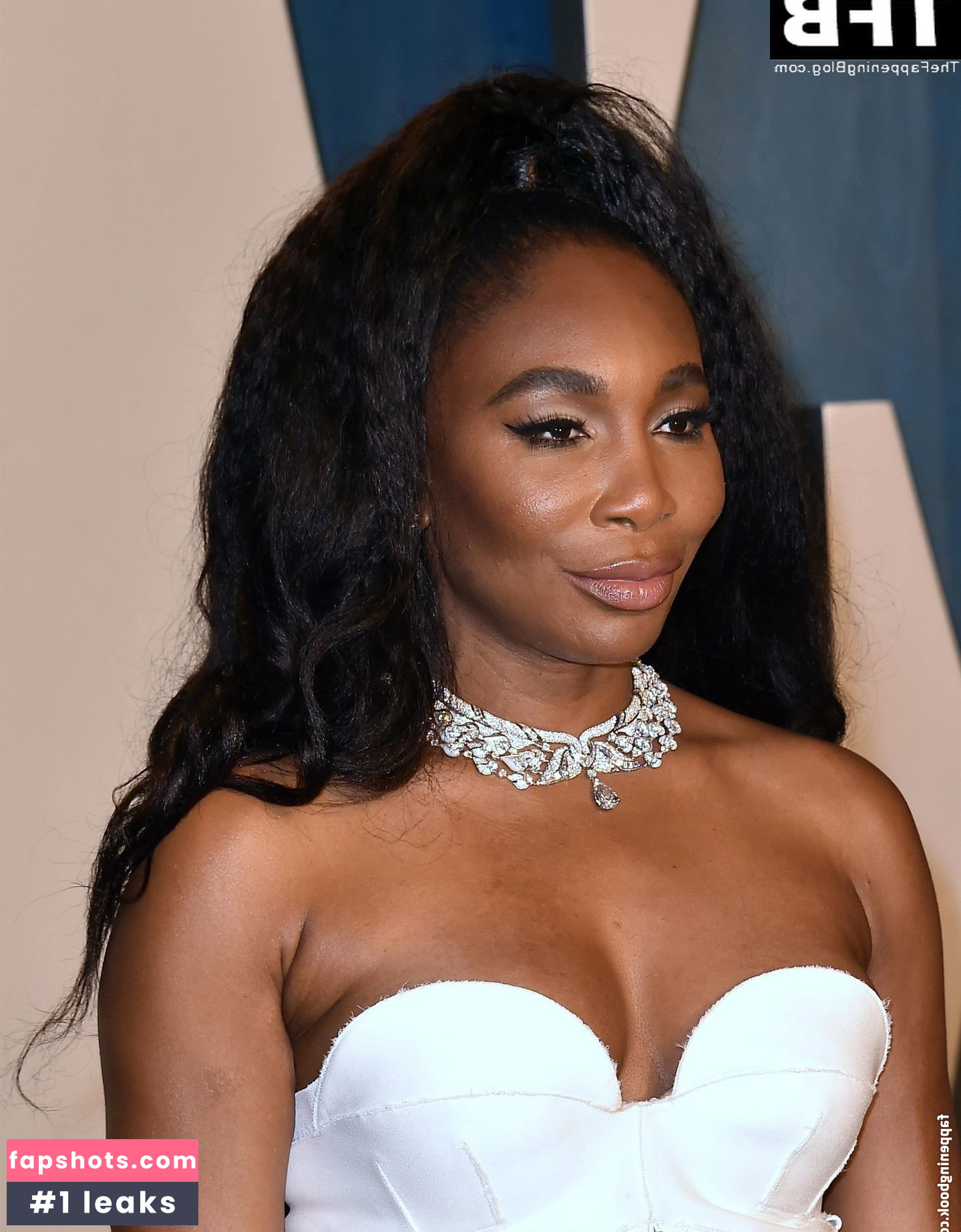 Venus Williams gallery photo #26