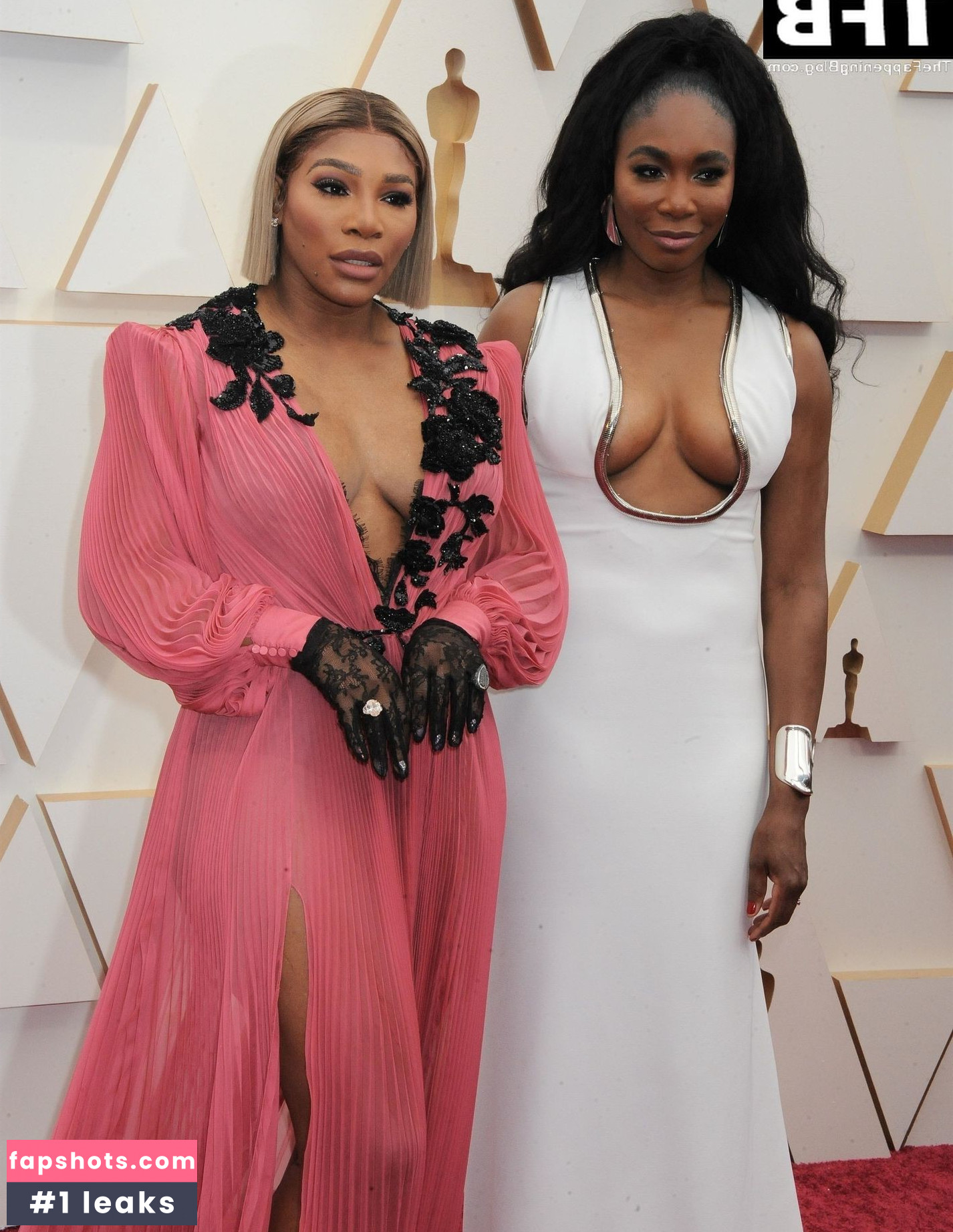 Venus Williams gallery photo #28