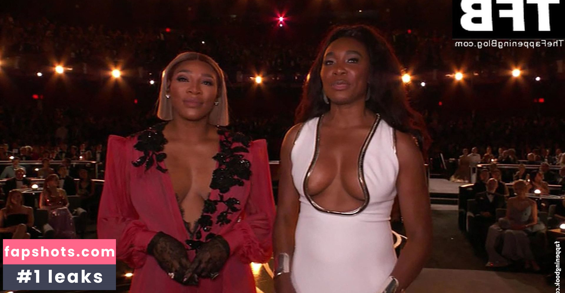 Venus Williams gallery photo #46