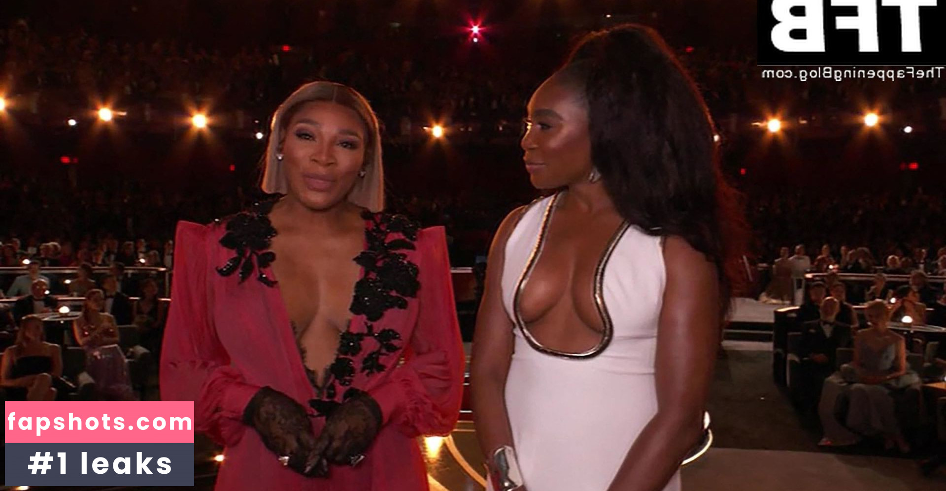 Venus Williams gallery photo #47