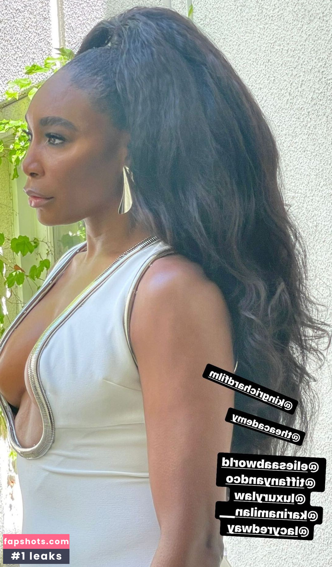 Venus Williams gallery photo #55