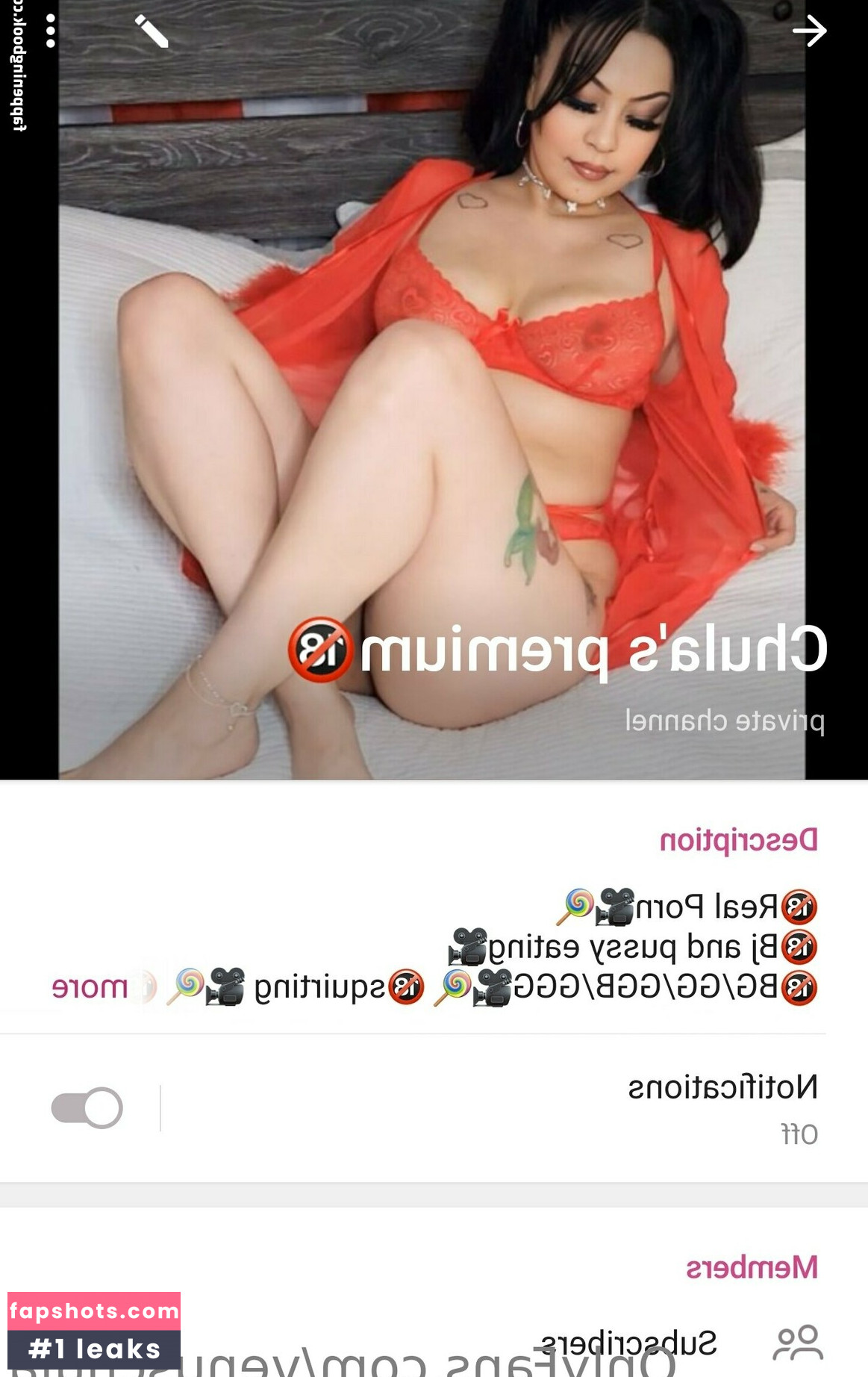 venuschula gallery photo #24