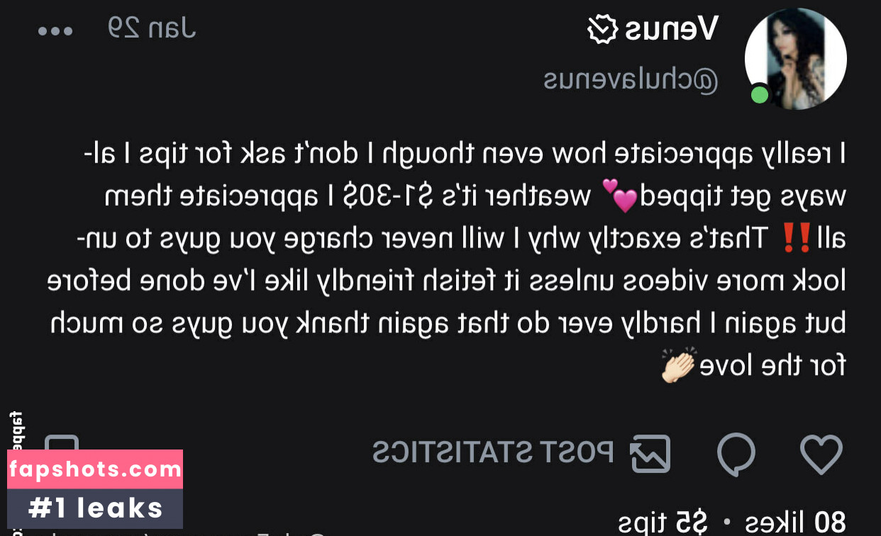 venuschula gallery photo #35