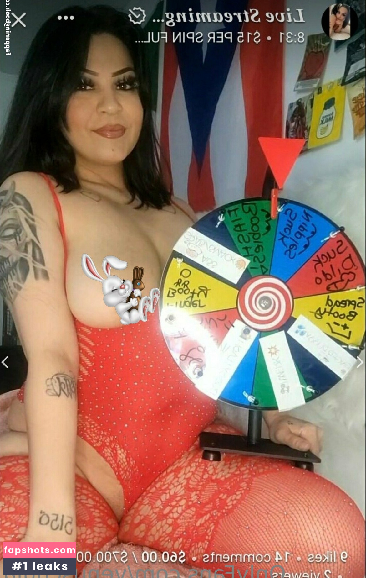 venuschula gallery photo #43