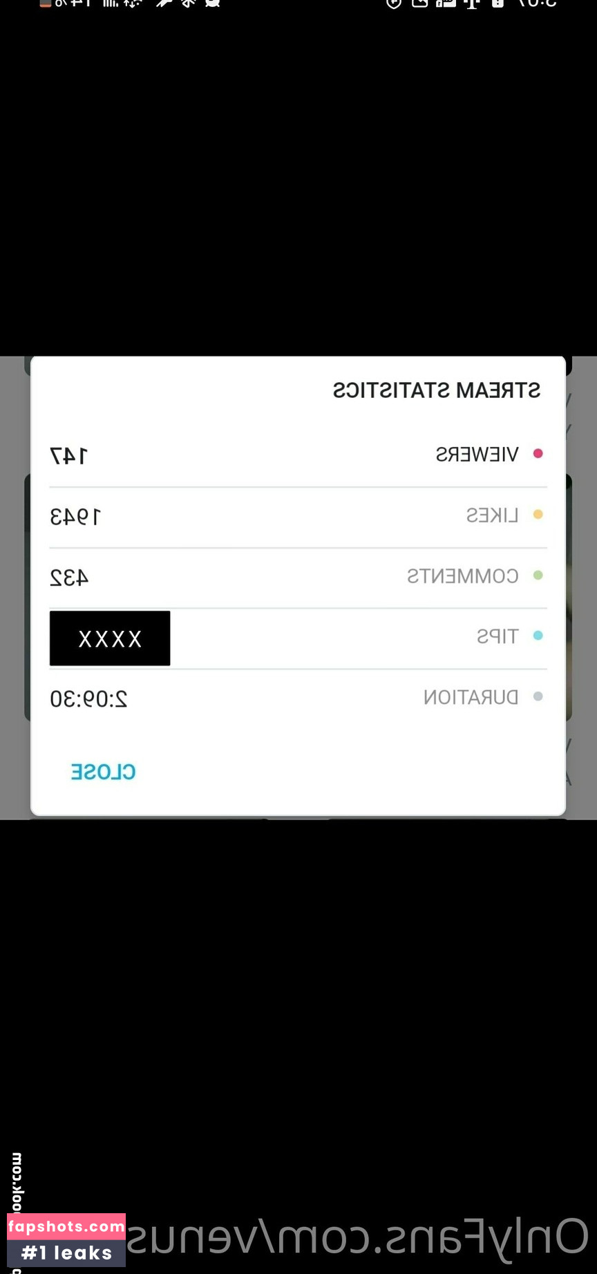 venuschula gallery photo #47