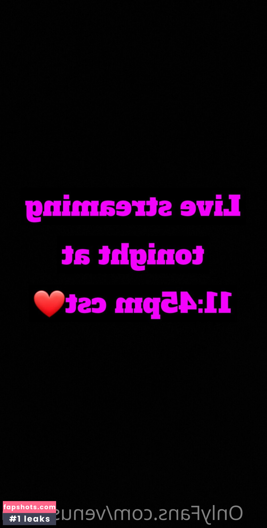 venuschula gallery photo #51