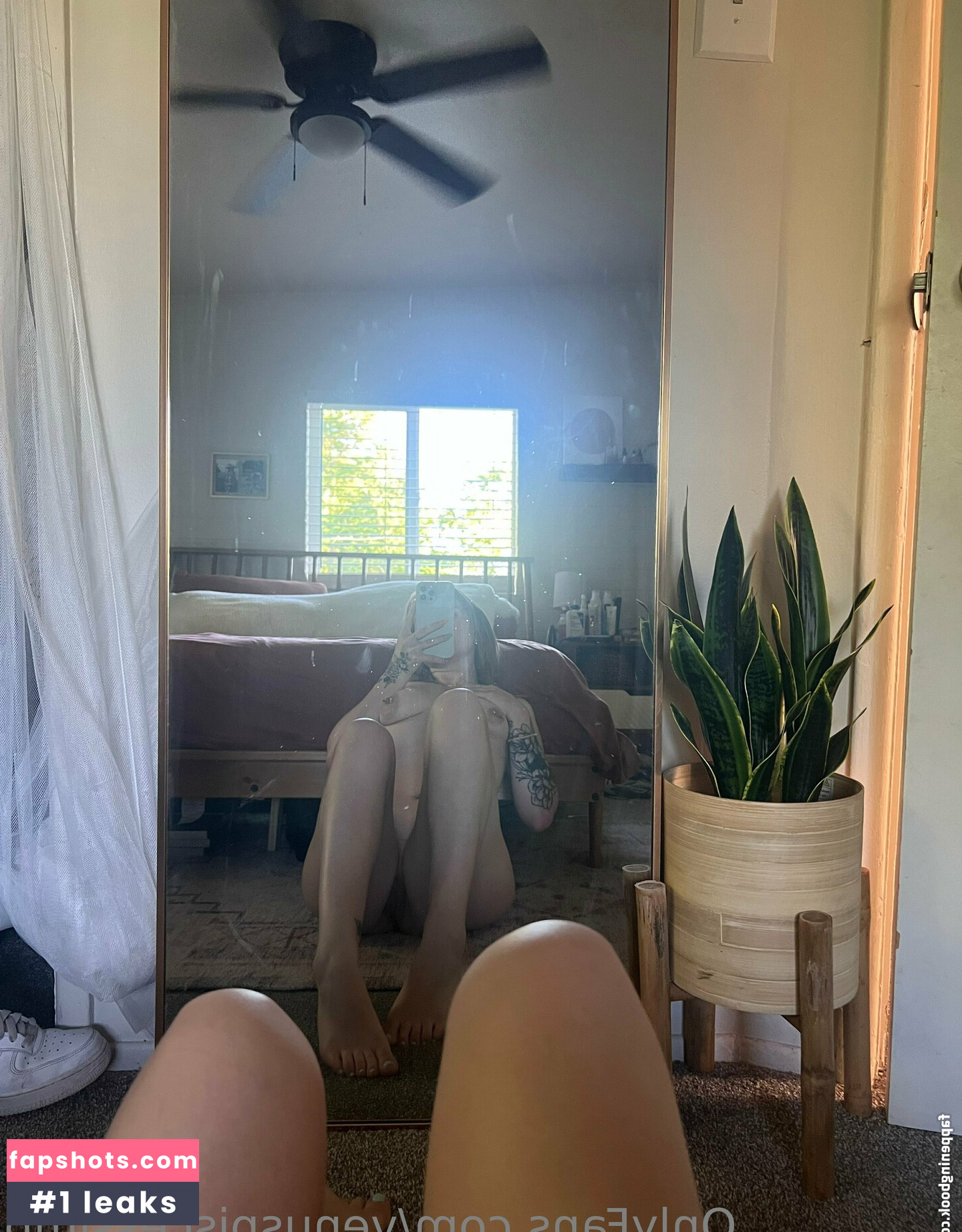 venuspiscessimp gallery photo #24