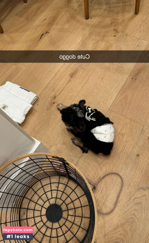 Vera Dijkmans gallery photo #1036