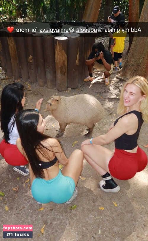 Vera Dijkmans Nude Leaks OnlyFans Photos #269 - LeakJerk