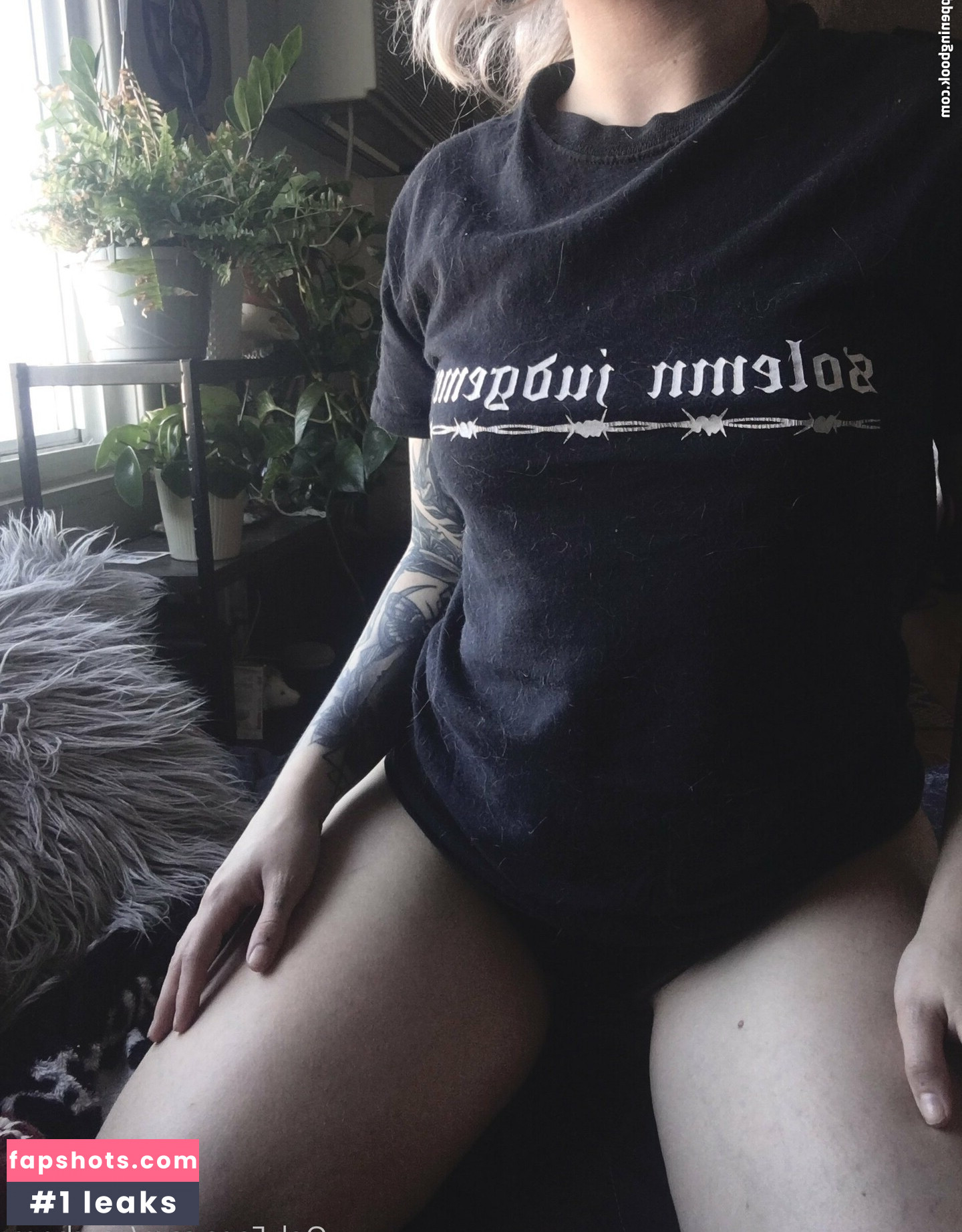 vexcherry gallery photo #6