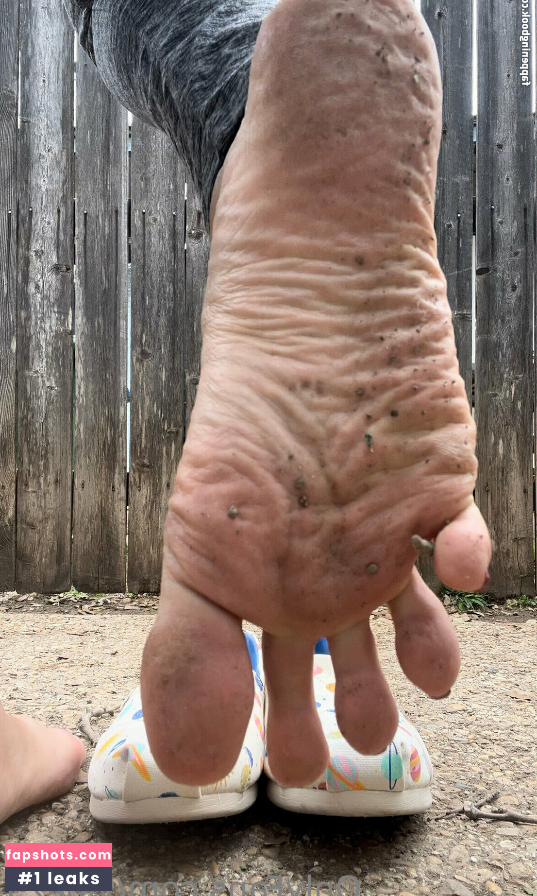 vibez3 gallery photo #15