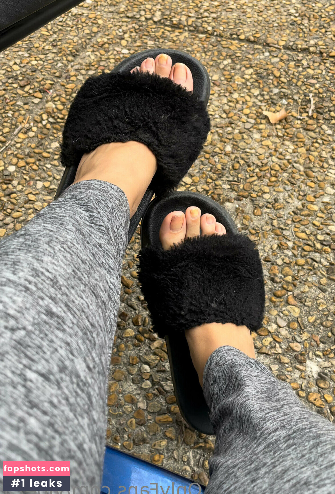 vibez3 gallery photo #30