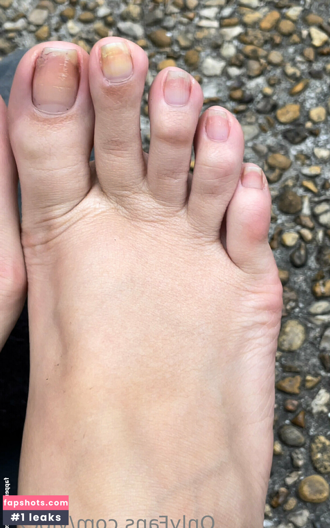 vibez3 gallery photo #33