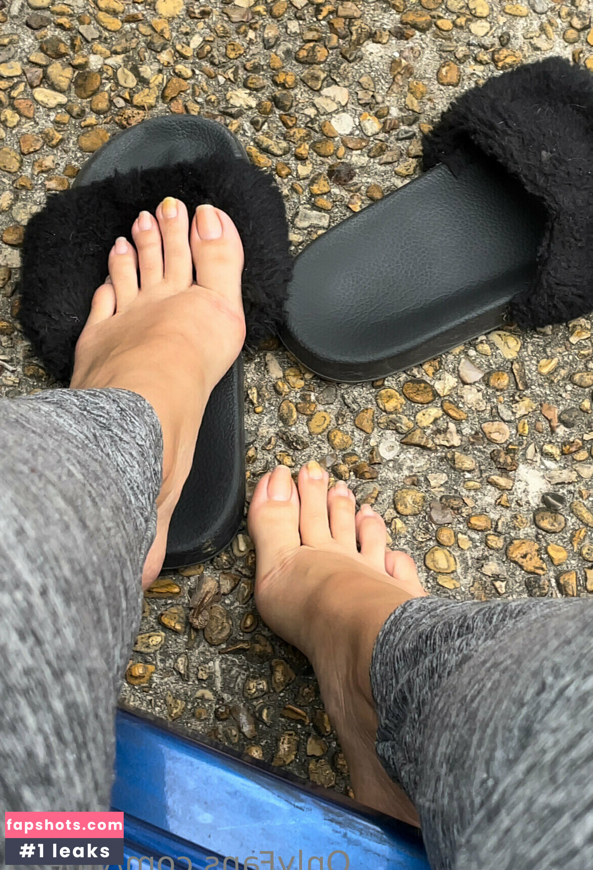 vibez3 gallery photo #40