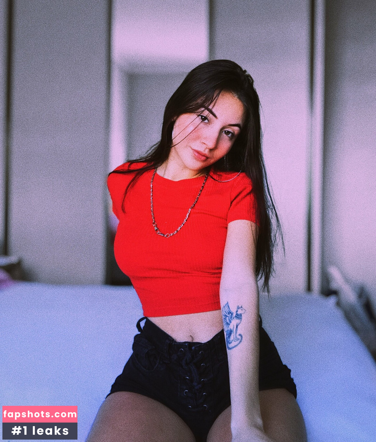 Vicsempio gallery photo #9