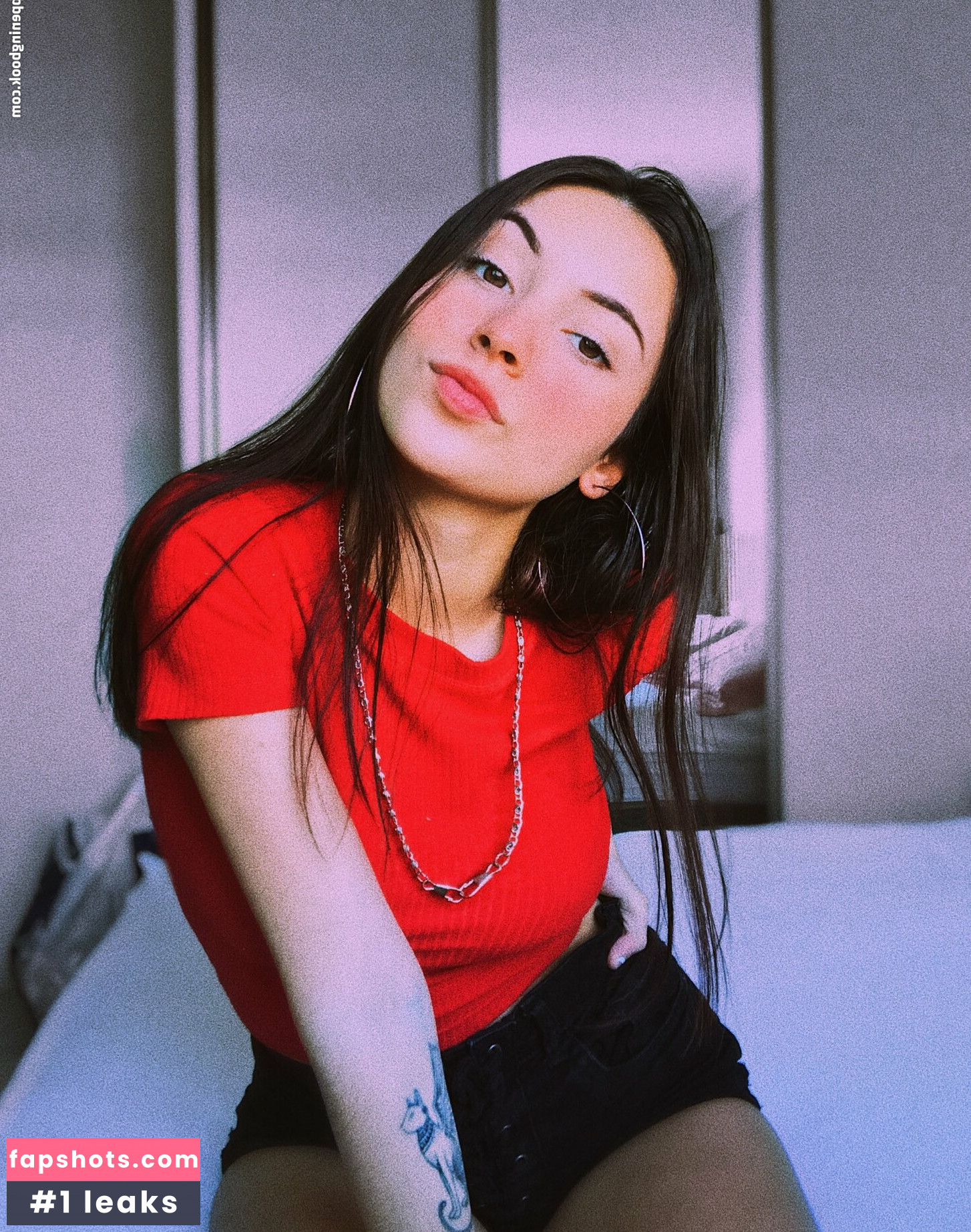 Vicsempio gallery photo #10