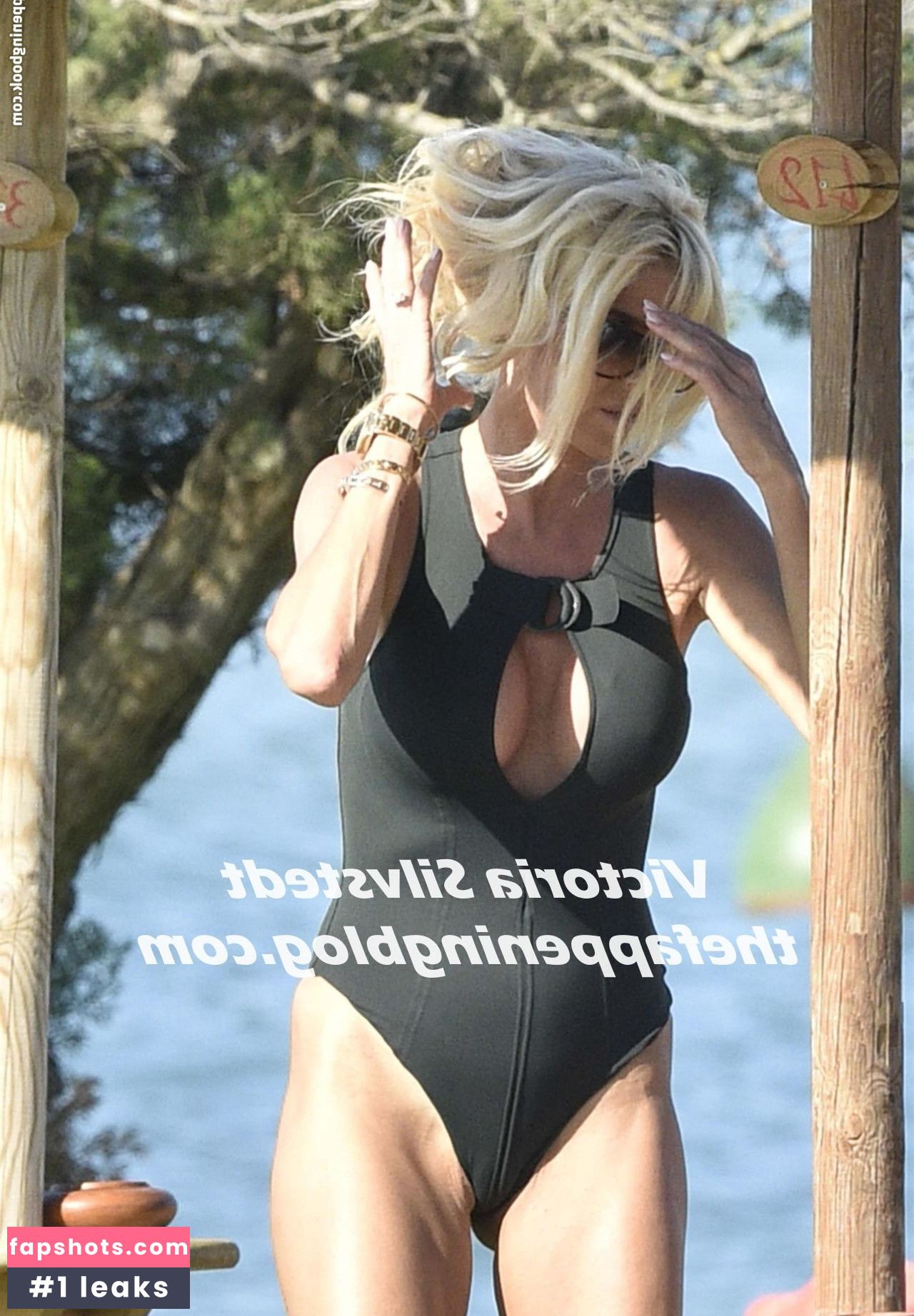 Victoria Silvstedt gallery photo #1697