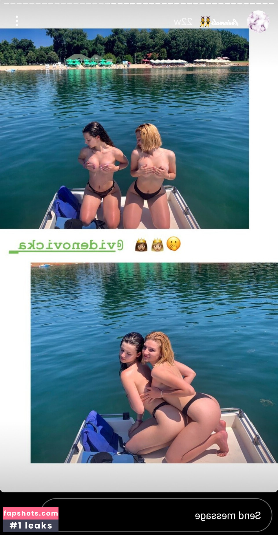 videnovicka gallery photo #8