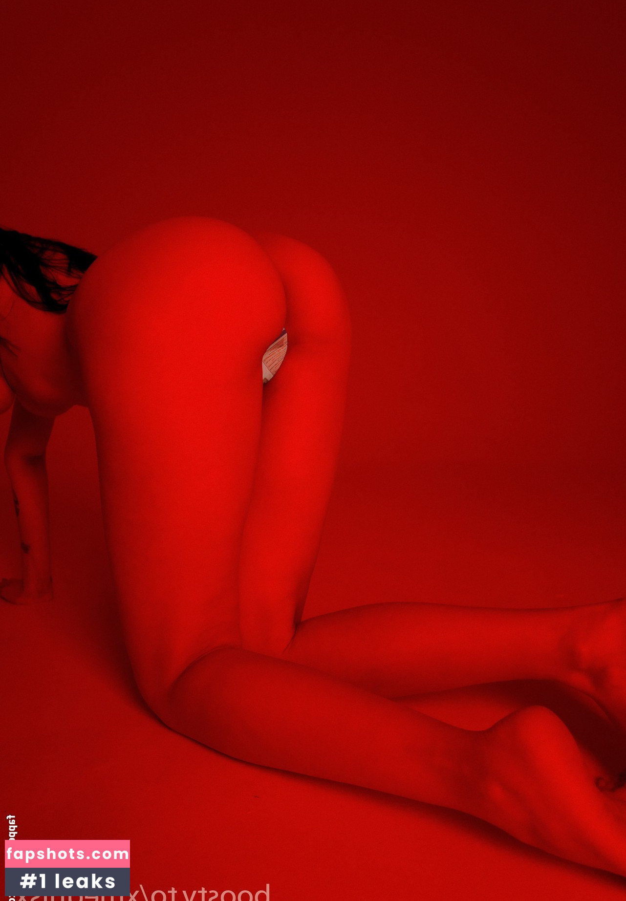 Vika Mednis gallery photo #261